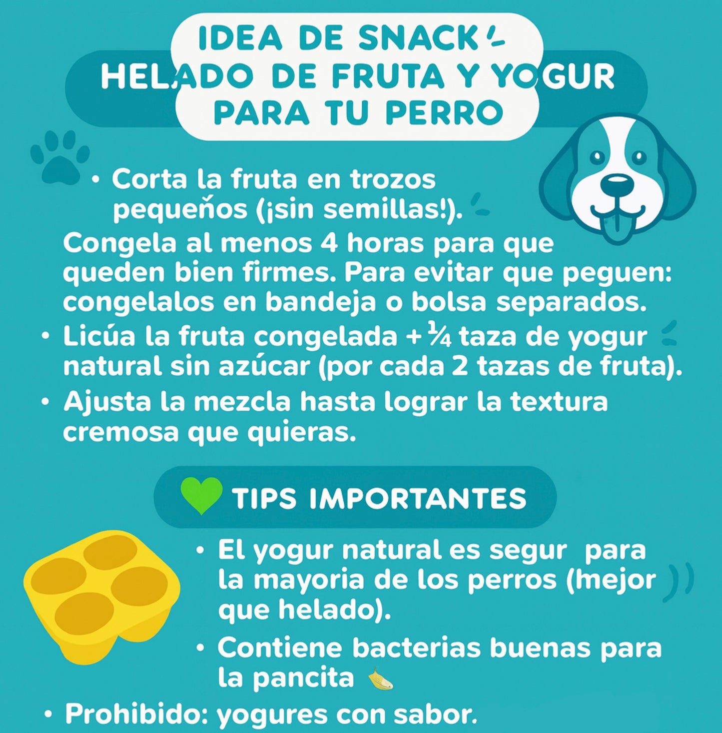 PELOTA INTERACTIVA SNACKS