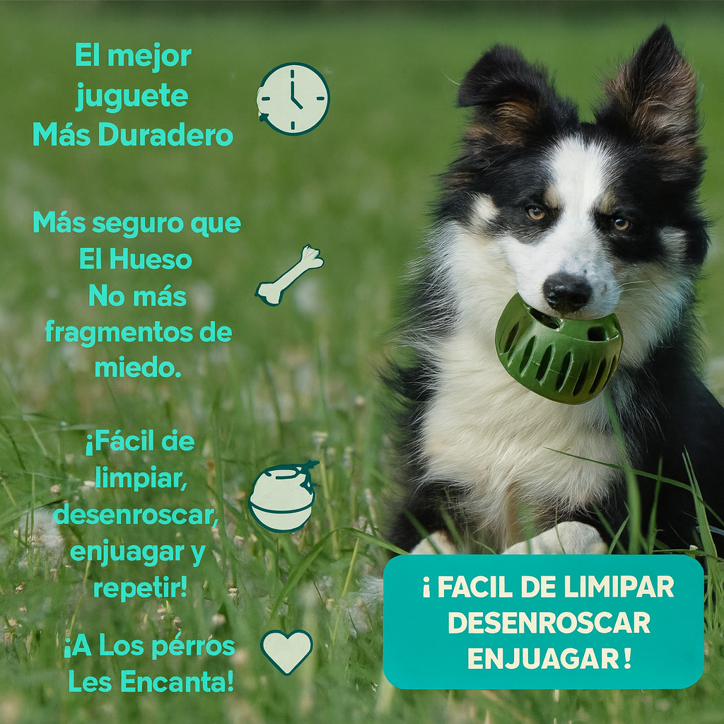 PELOTA INTERACTIVA SNACKS