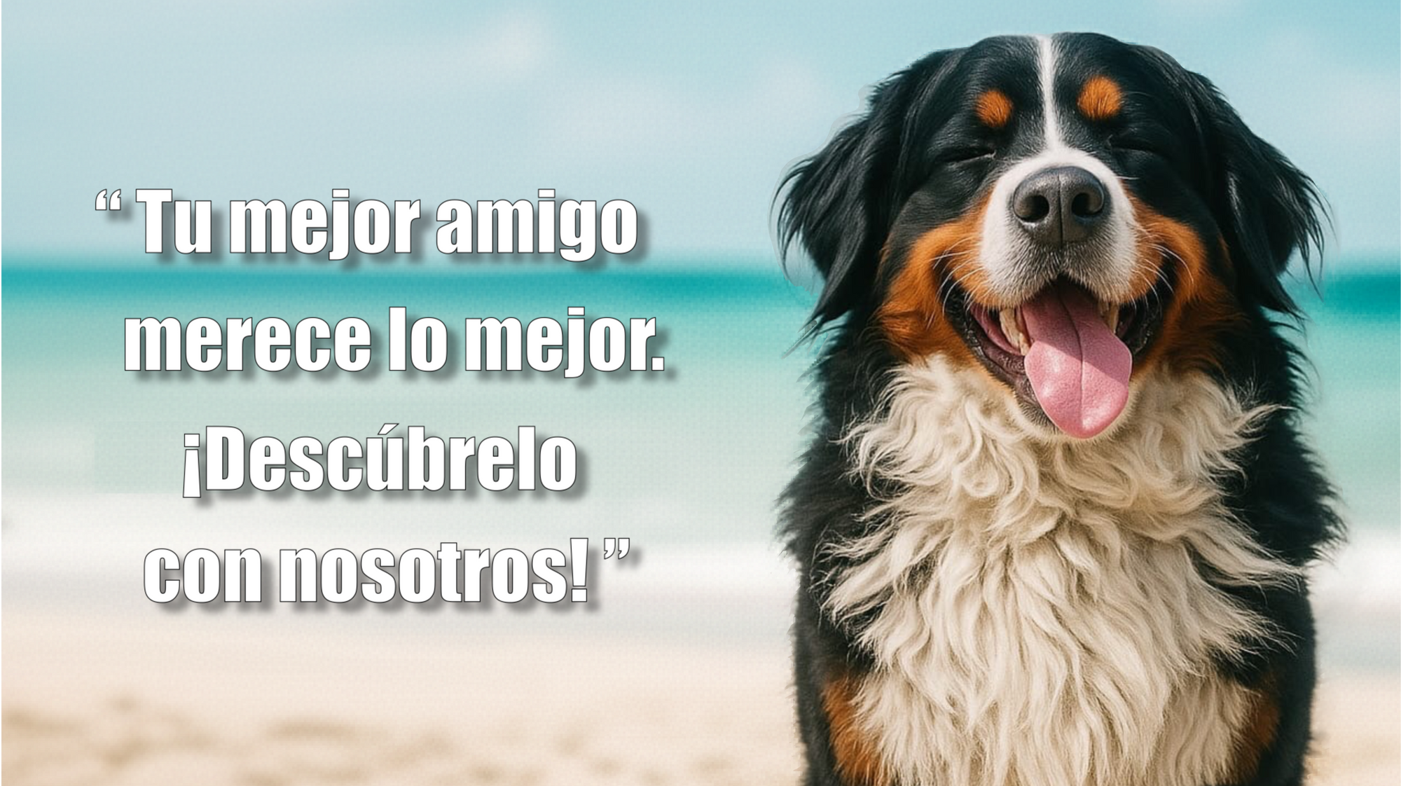 Imagen principal escritorio