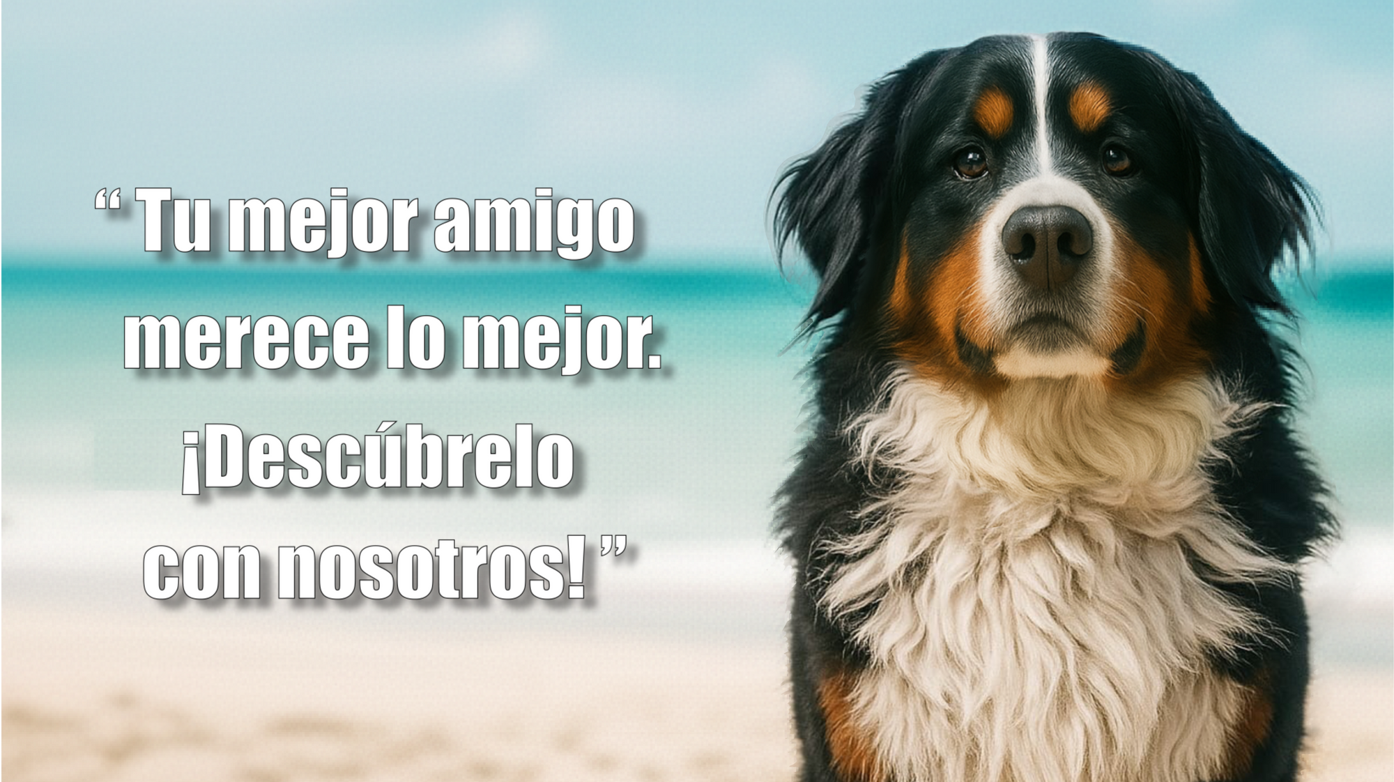 Imagen hover escritorio