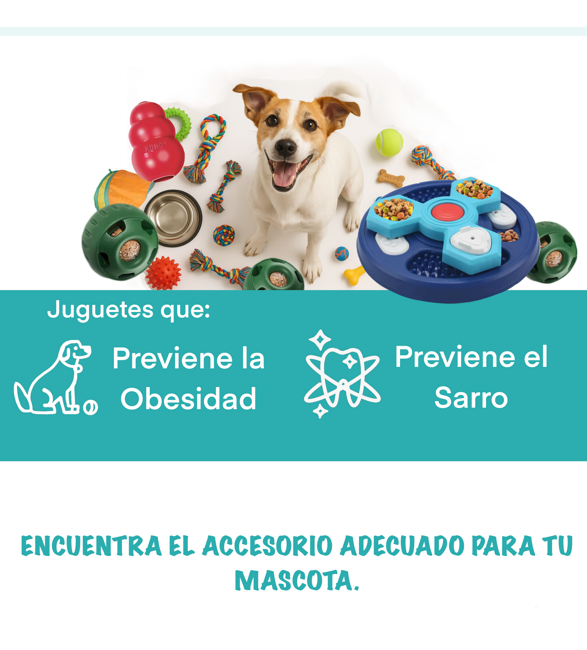 Imagen principal escritorio